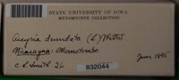 Image Associated With the Occurence